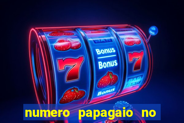 numero papagaio no jogo do bicho